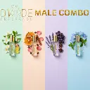 Untitled design (7).webp